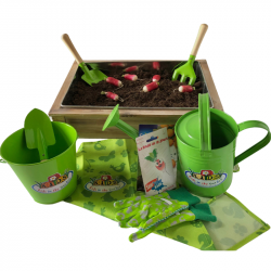 PYEF CRAFTS Kit Jardinage Enfant Plante à Faire Pousser Potager Enfant - Kit  Prêt à Pousser Mini