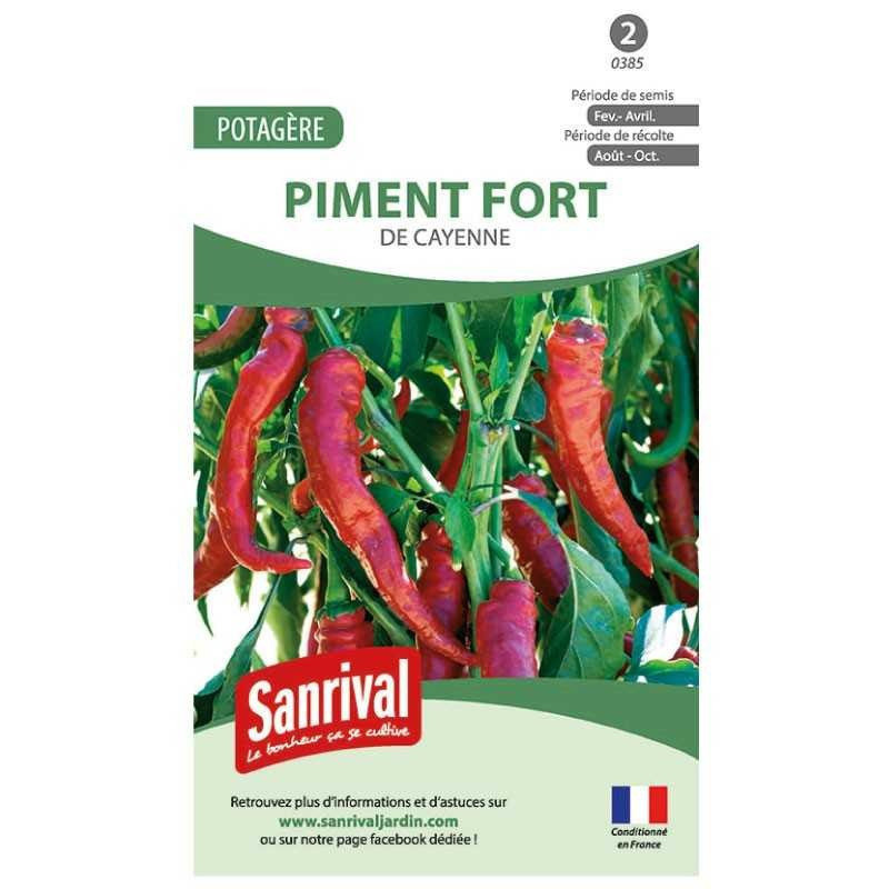Piment de Cayenne en pot : culture et semis sur balcon - Echoppe