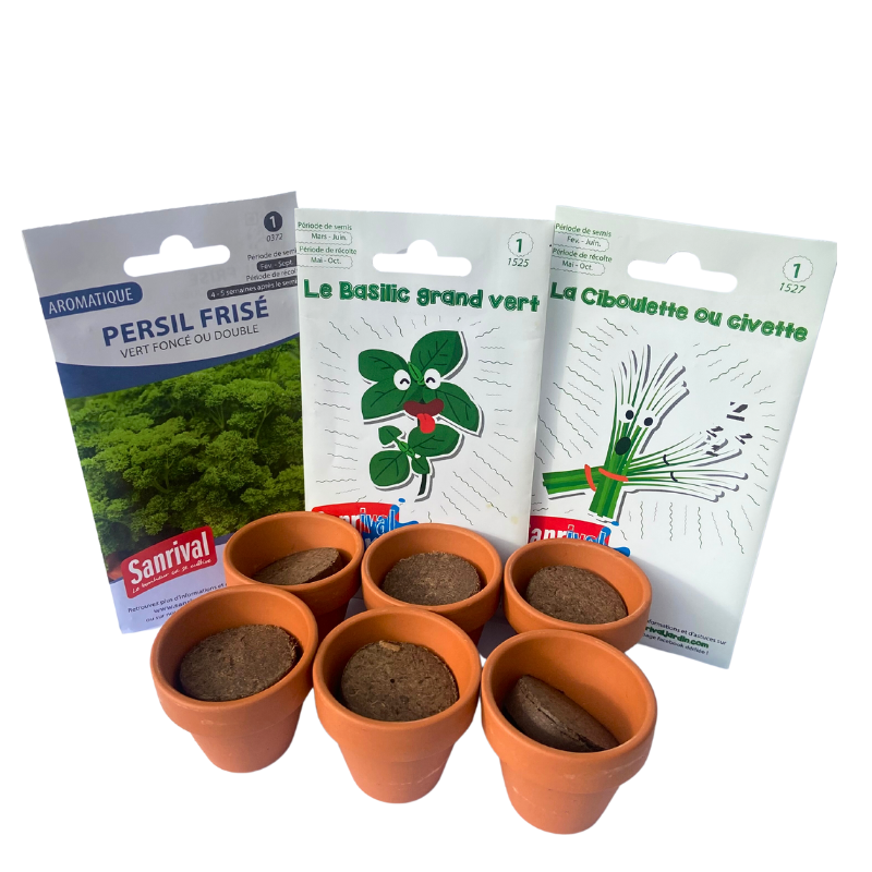 Herbe variée mini plantes assorties 3 pots feuilles plastique