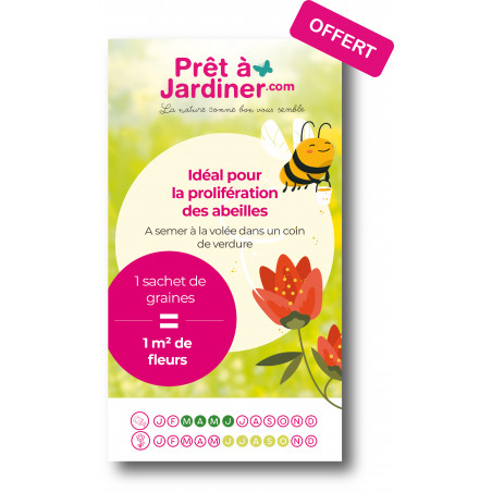 Sachet de graines de Fleurs pour Abeilles