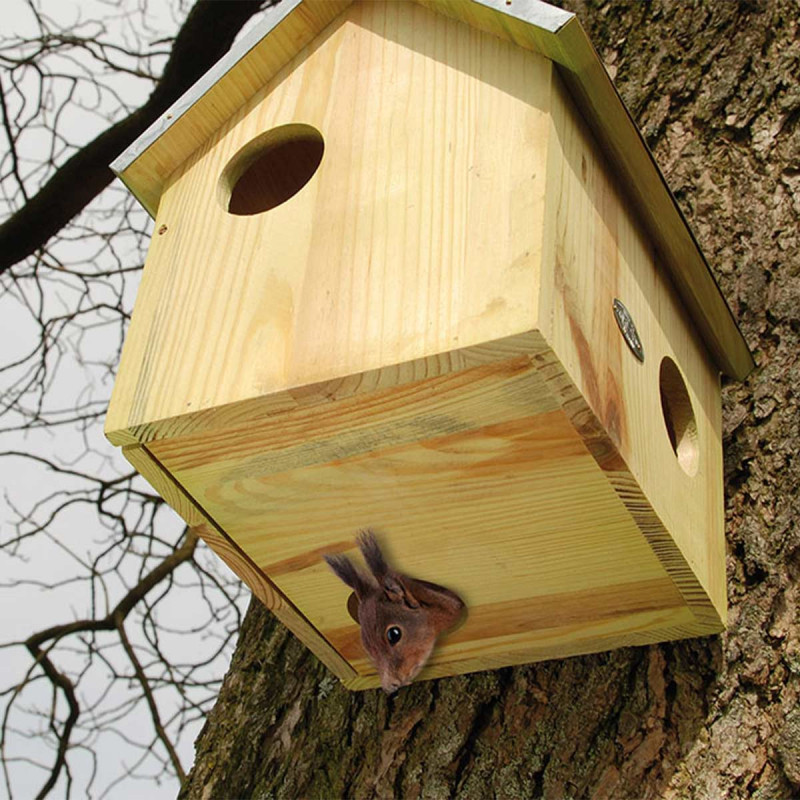 Maison écureuil 