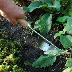 Secwell 25 Pièces Mini Ensemble d'outils de Jardinage Outils de Plantation  de Jardin pour Transplantation Succulente Kits d'outils de Jardinage avec