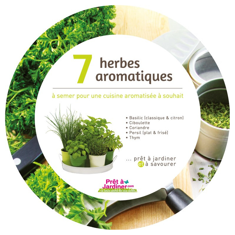 Herbes Aromatiques : 15+ Façons Astucieuses De Les Faire Pousser En  Intérieur