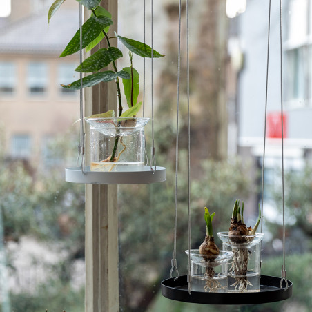 Oiseau d'arrosage à planter en verre