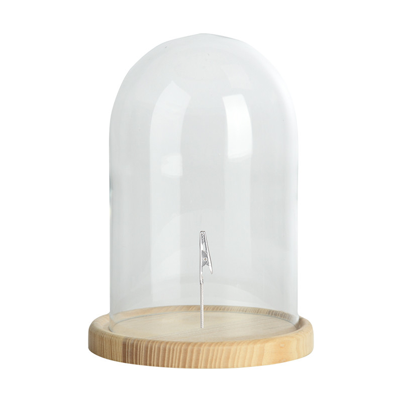 Petite cloche en verre et son socle de bois - Catho Rétro