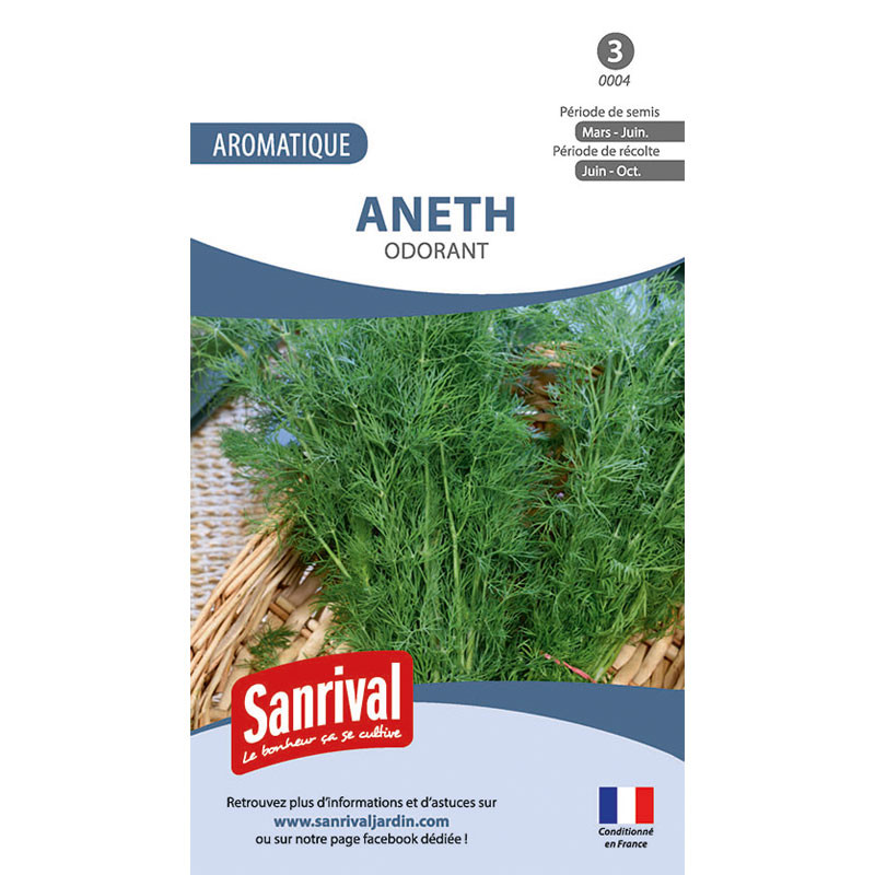 Aneth : semis, culture et récolte