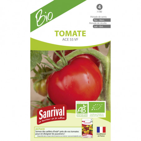 Graines tomates Saint Pierre AB Bio – Tomate bio