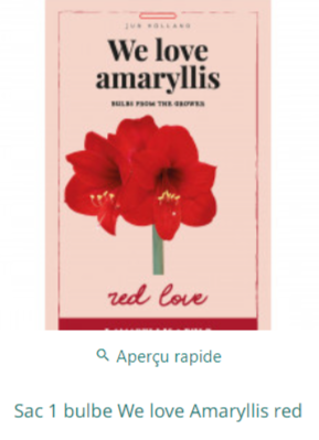 Amaryllis : Acheter des bulbes d'Amaryllis en ligne