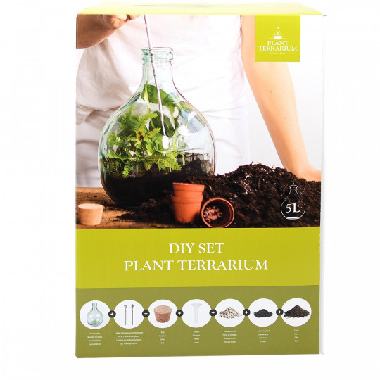 Kit pour faire un terrarium végétal pas cher - Déco intérieur