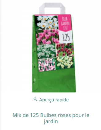 Mix de bulbes à fleurir pour jardin joli