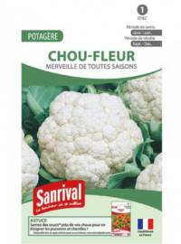 semer-planter-choux