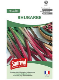 rhubarbes-semi planter semer