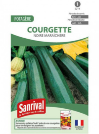 semi-courgettes