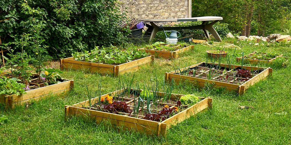 Carré potager rectangulaire : Achat jardin en carré pas cher