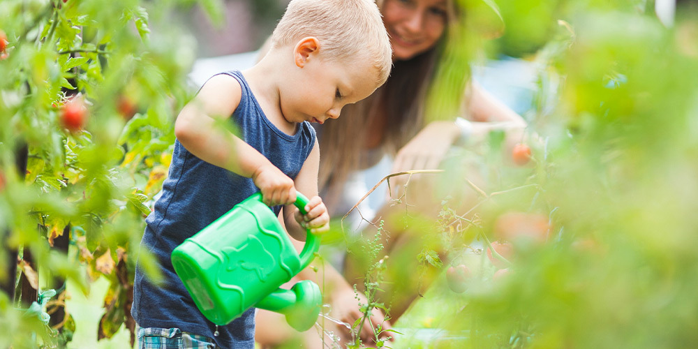 Jardin : 4 graines magiques à planter avec les enfants