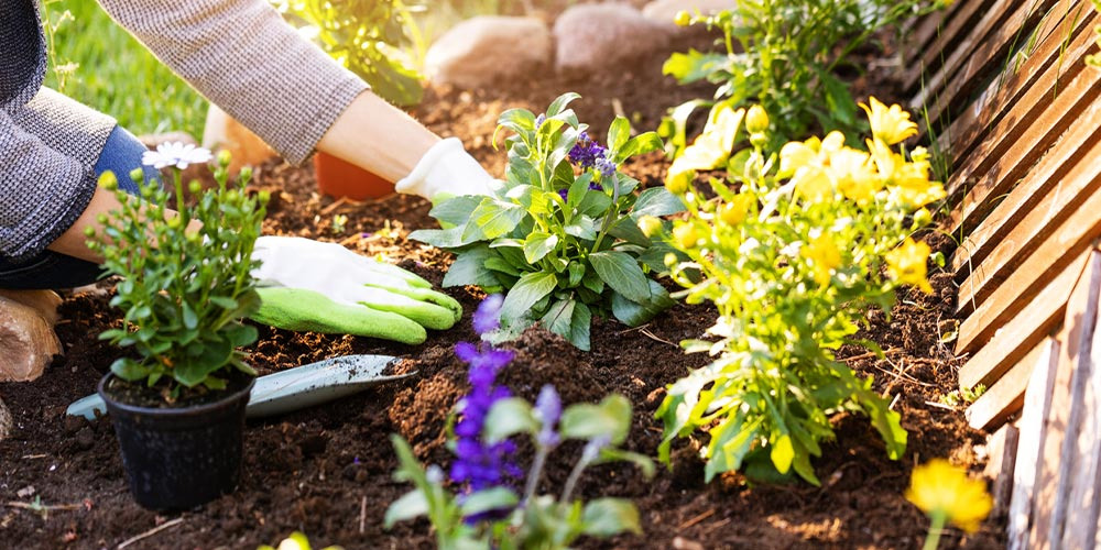 100 idées de Blog Jardin FISKARS  outils jardinage, jardinage, jardins