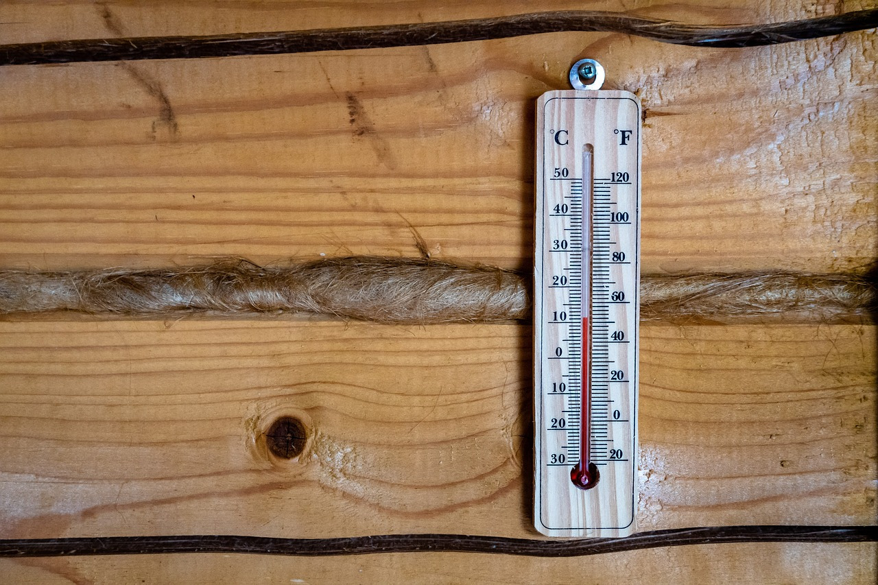 Thermomètre Intérieur Design Bois
