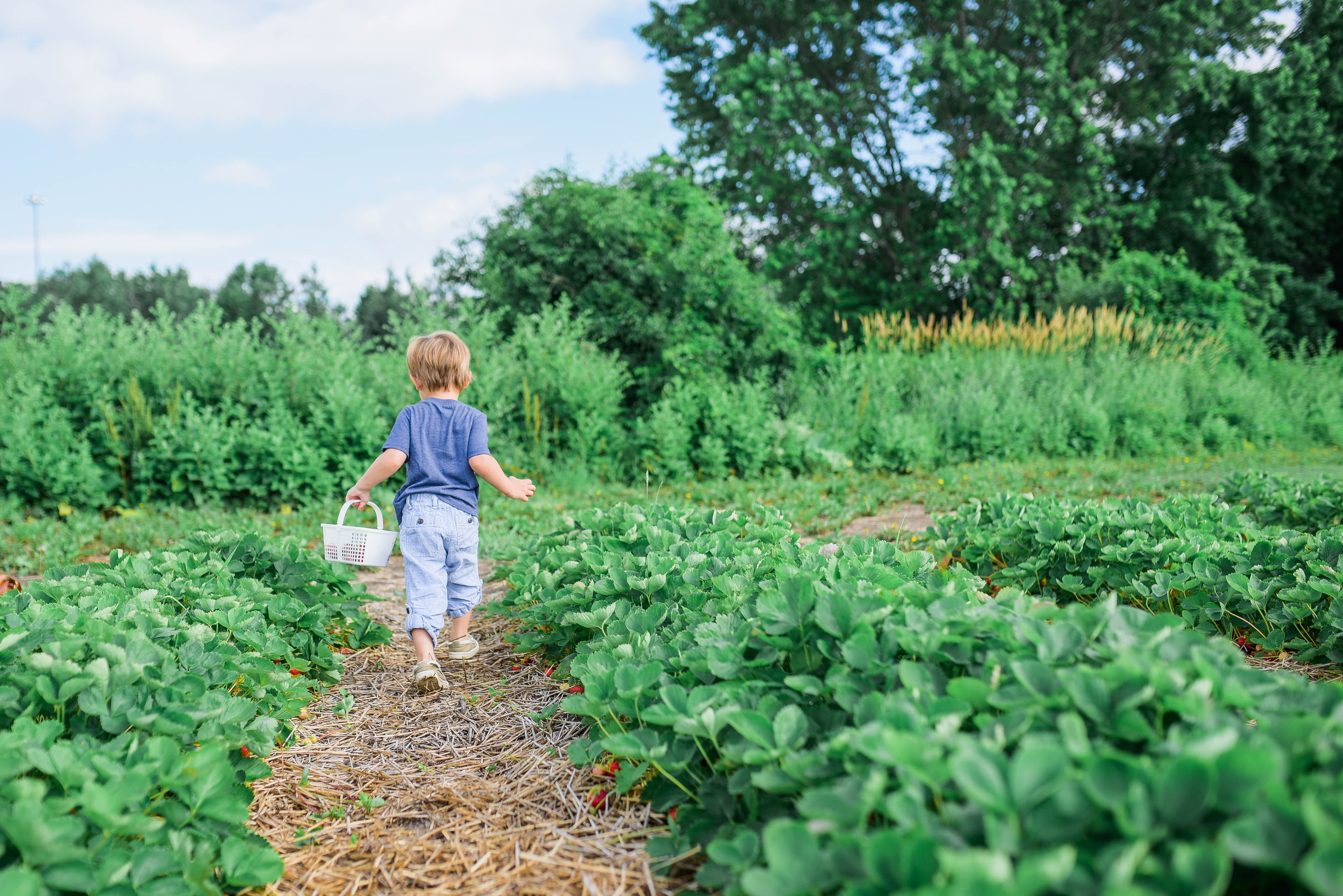 Kit jardinage & accessoire enfant pour découvrir la nature