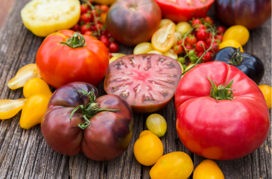 Comment & quand planter tomate cerise au balcon, pot & pleine terre ?