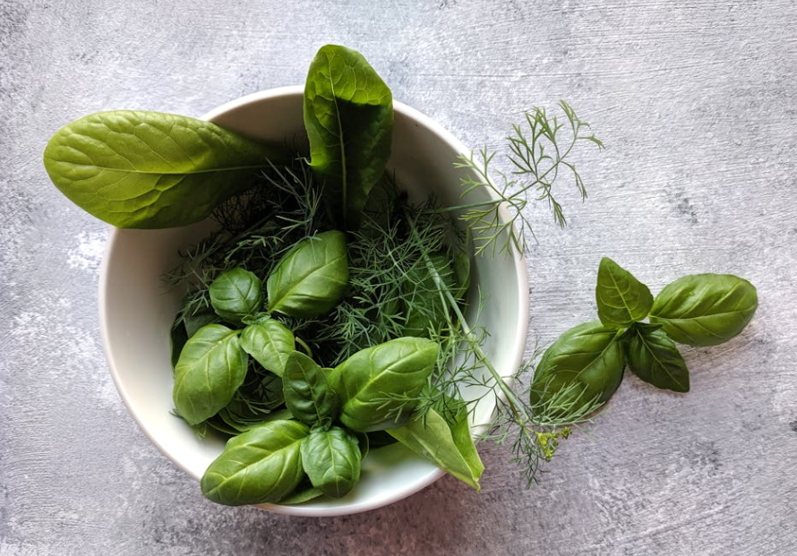 Peut-on planter menthe et basilic ensemble & quelle plante associer ?